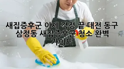 새집증후군, 이제 걱정 끝! 대전 동구 삼정동 새집증후군 청소 완벽 가이드