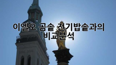 이엘오 곰솥: 전기밥솥과의 비교분석