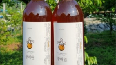 임산부에게 딱! 착한 가격의 맛있는 임산부매실액 추천💖